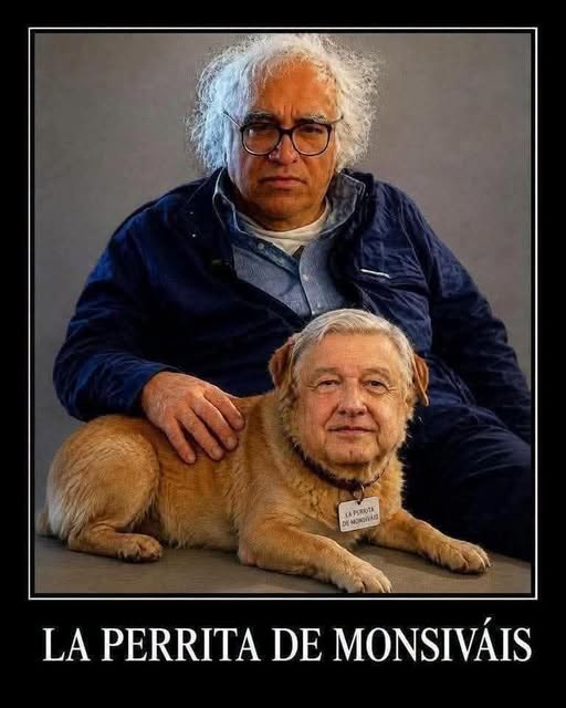 Heavyjin's tweet photo. @luzugaldez y tu sabes quien es la perrita de monsi? https://t.co/M4P81E2Jjm