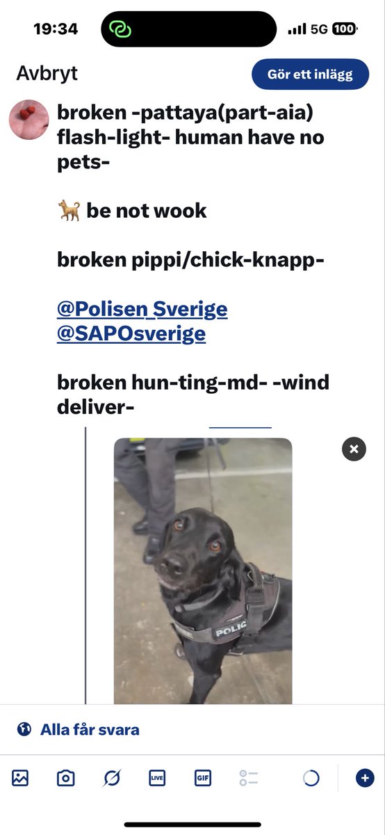 ALLmeltGenom's tweet photo. Rymdraket är inte sandens bajskorvar bruten w-00-ka-

🐕 är inte WOOK bruten ståL-gädd-ah bruten ton GULD 

@elonmusk https://t.co/kLFE80WDLA