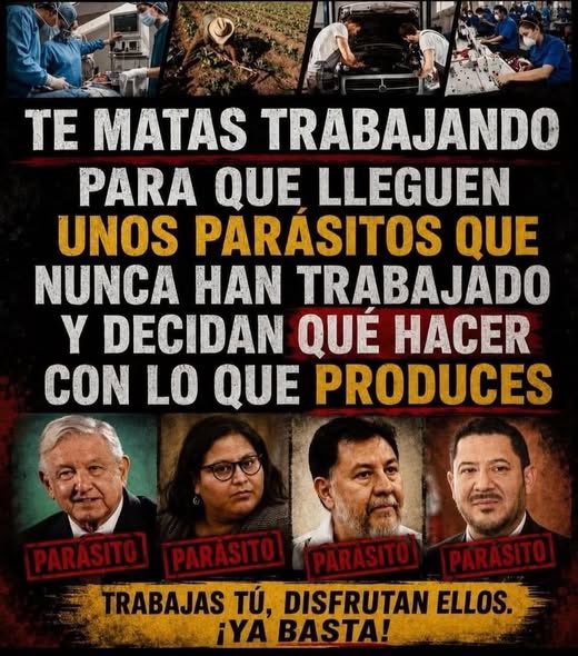 MakumiToto59843's tweet photo. @EmilioAlvarezI Y de esos puro asno, unos fósiles otros sin título y otros más sin una explicación clara y lógica de que hacen cobrando ahí... Eso sí, todos cuates que antes pensaban que desayunar un café y chilaquiles era privilegio de clase social acomodada. https://t.co/oAOxp8A8rB