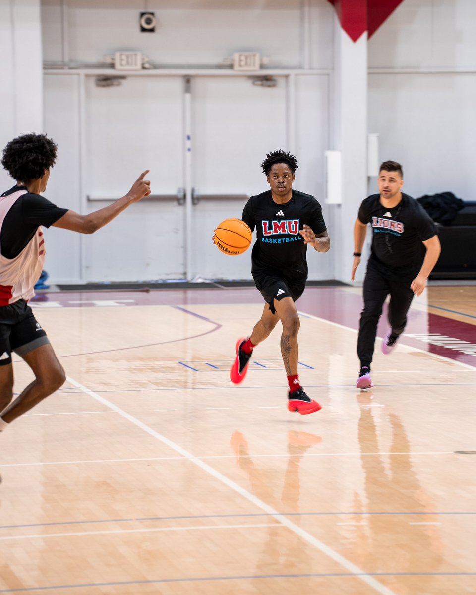 lmulionsMBB's tweet photo. Midweek Practice Flicks 📸 https://t.co/4RpNzNc5k1
