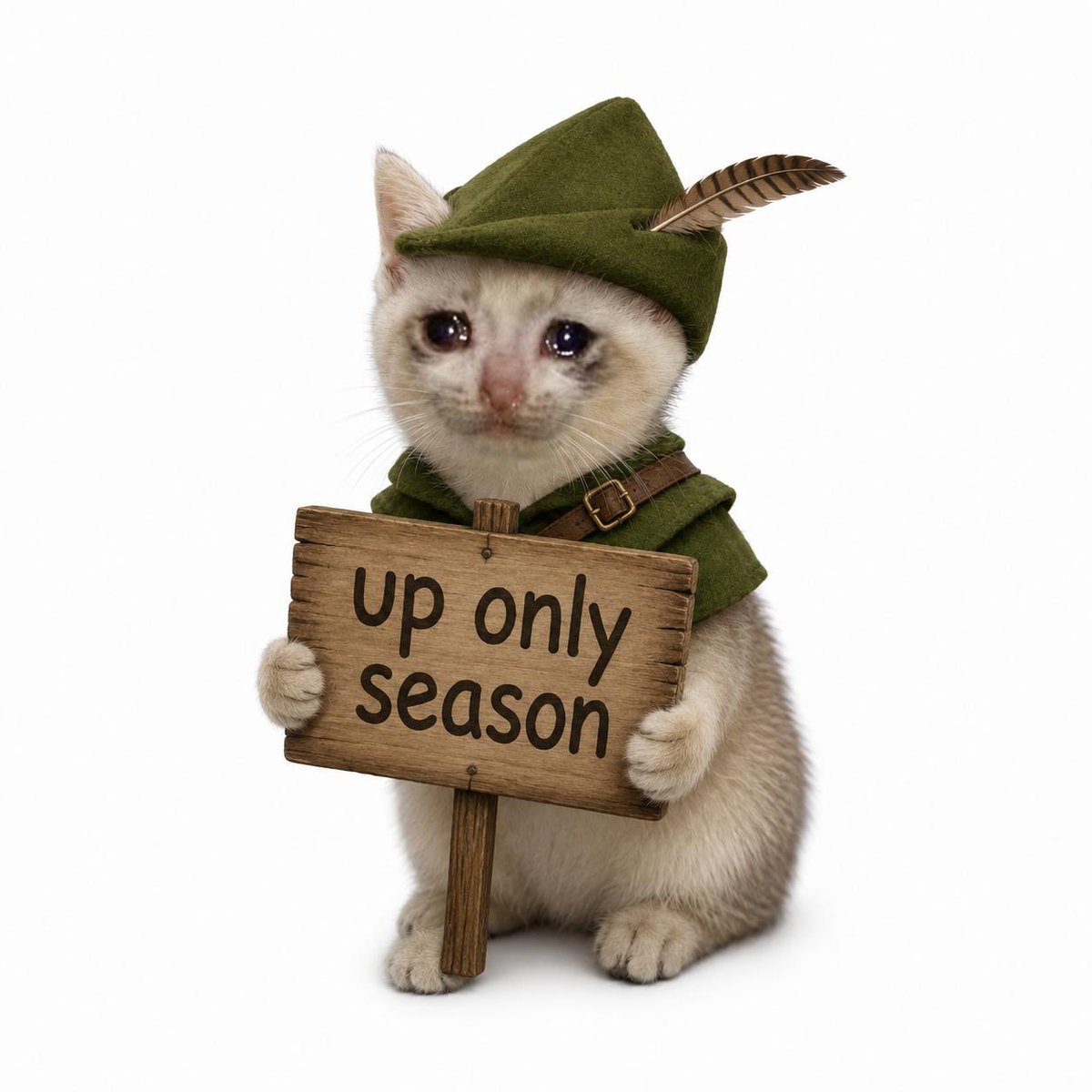 CashKittenRH's tweet photo. Tis the season for cats. $CASHKITTEN https://t.co/fVQeXXkHpe
