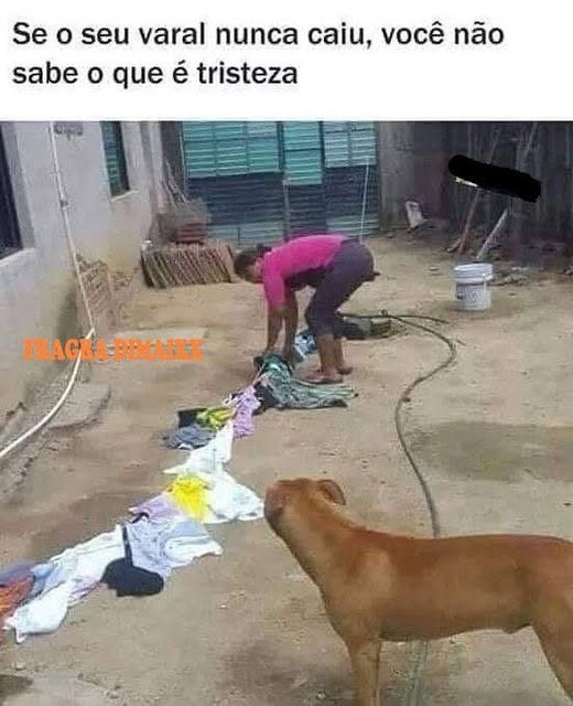 LeoTk_'s tweet photo. #SDV #QuartaDetremuraSDV   

Sigo Todos que me  seguirem👍👍

https://t.co/o80XjkPUW4

Me Siga No Tik Tok: https://t.co/b6cmxA2njR

Se Inscreva no Meu Canal no Youtube: https://t.co/MewVvAGRSC

Sigo Todos de Volta👍👍 https://t.co/bnNC14z7nc