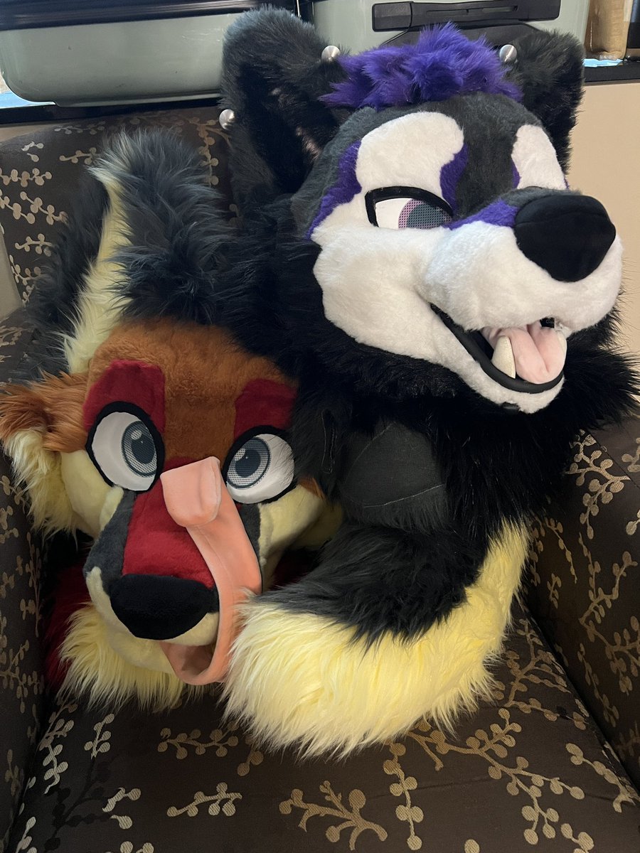 SlyTheFox tweet picture