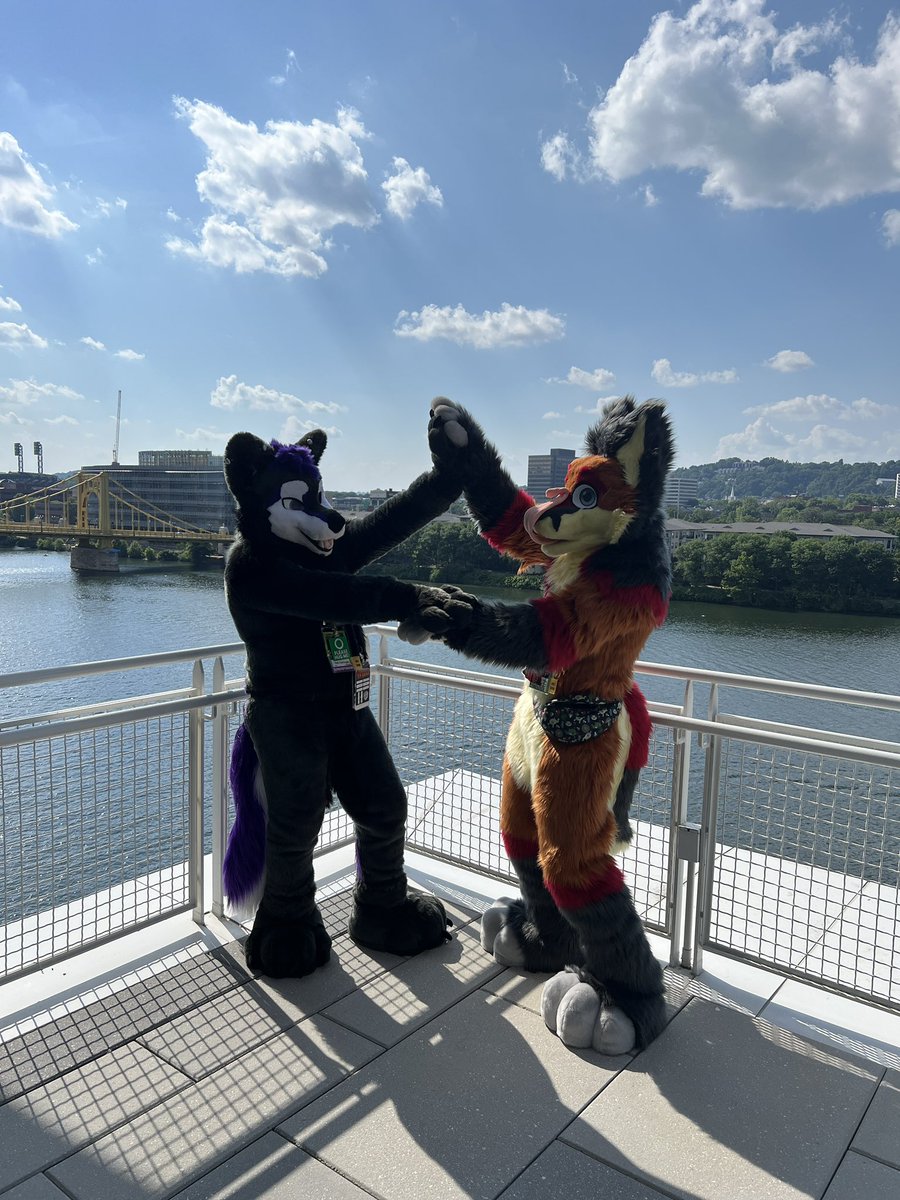 SlyTheFox tweet picture