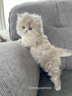 catsteug's tweet photo. https://t.co/i0j3MGeRr7