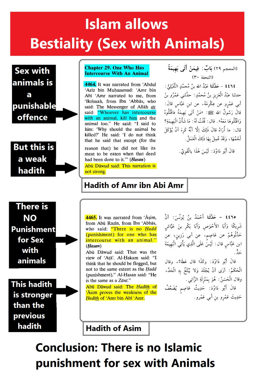 Sharmaman666's tweet photo. @valadohari @shreewg Yes he did. Even your hadiths do. While you're trying to own Hindus with a tribal mock marriage to ward off bad luck.

You Muslims are the most barabric and keep provoking us, but provocations have consequences. https://t.co/6WTj6cAen8