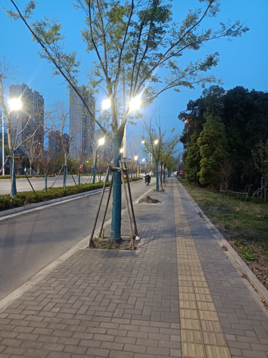 BunniiDelight's tweet photo. 今天出门被春风吹得脑袋发懵，连路边玉兰花的香气都跟着飘歪了，这天气连“想不想出门”都让人纠结 https://t.co/j1EpLbbws5
