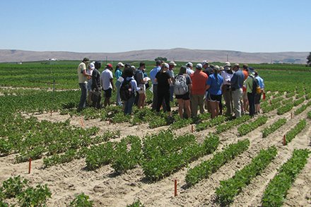 Agricultural Research Service tweet media
