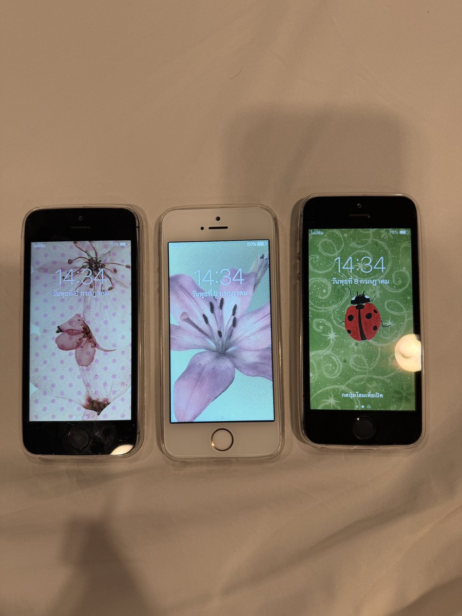 shoopshoot0's tweet photo. ౨ৎ iPhone 5s  16GB 🪽✨
มีเครื่องพร้อมส่งค่า 
เครื่องแท้ ไม่ติด iCloud รีเซ็ตได้ ♡
ใส่ซิมได้ ౨ৎ แบตไม่ไหล กล้องหน้า-หลังปกติ📸 AirDrop ได้ ✿ สแกนนิ้วได้ ✿ 

1250.- free ems  🪷
มีบริการนัดรับ,ปลายทาง,แมส(กทม.)รับผ่อน

#ไอโฟน5s #ส่งต่อไอโฟน #ไอโฟนรุ่นเก่า #กล้องดิจิตอล #ไอโฟน6 https://t.co/inUTJ0L8gU