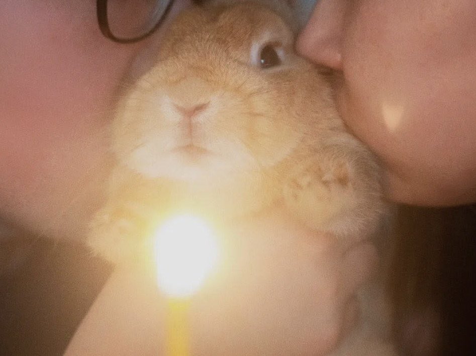 KMTHEWRLD's tweet photo. ˖Ი𐑼⋆ our sprouted love
an implied-lawless, exes byler #smau/#socmed where mike uses their bunny daughter sprout as an excuse to speak to will and #gethimback!
co-written by @KMTHEWRLD + @sn00pycity ♡ https://t.co/cTvGd6Qc6B