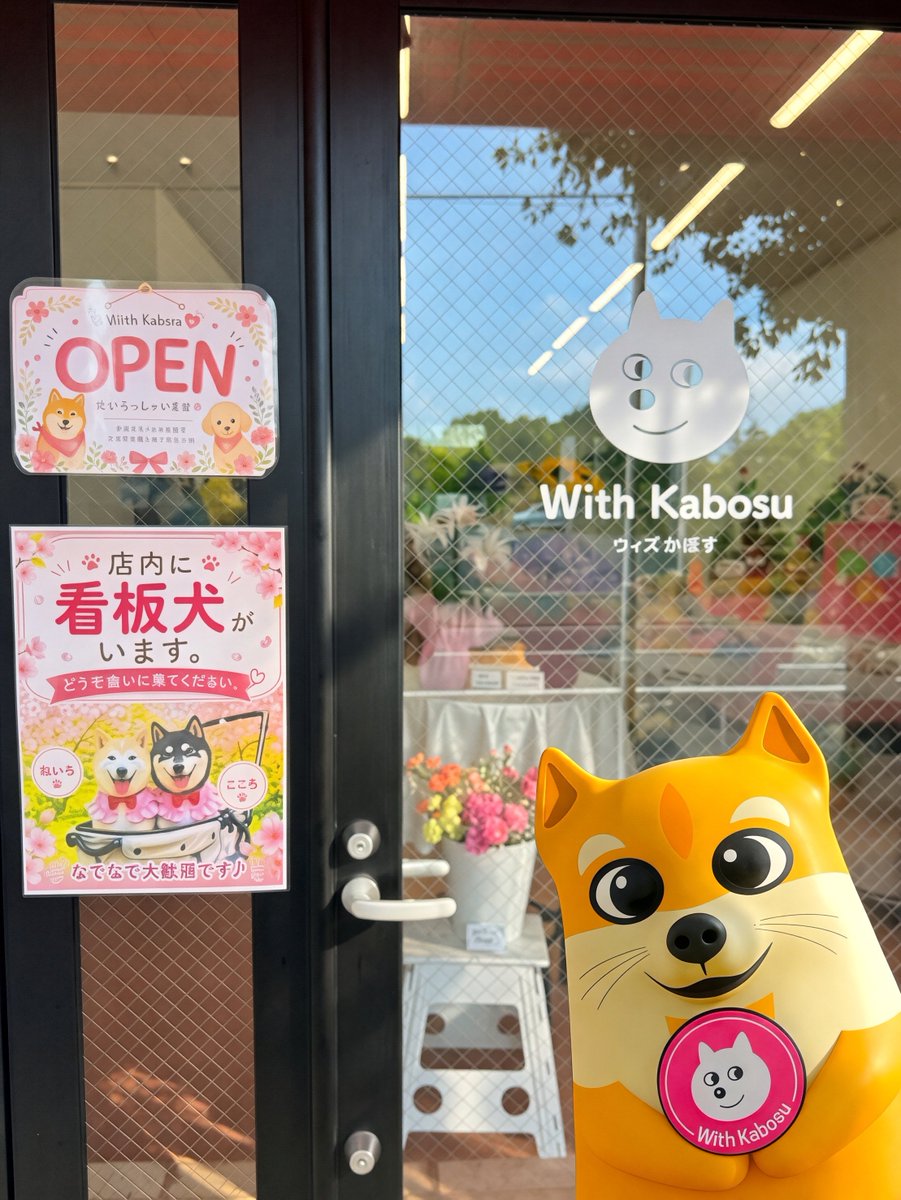 ShibuCoinSolana's tweet photo. We're $SHIBU strong! 💪 https://t.co/m0FAIfPq3P