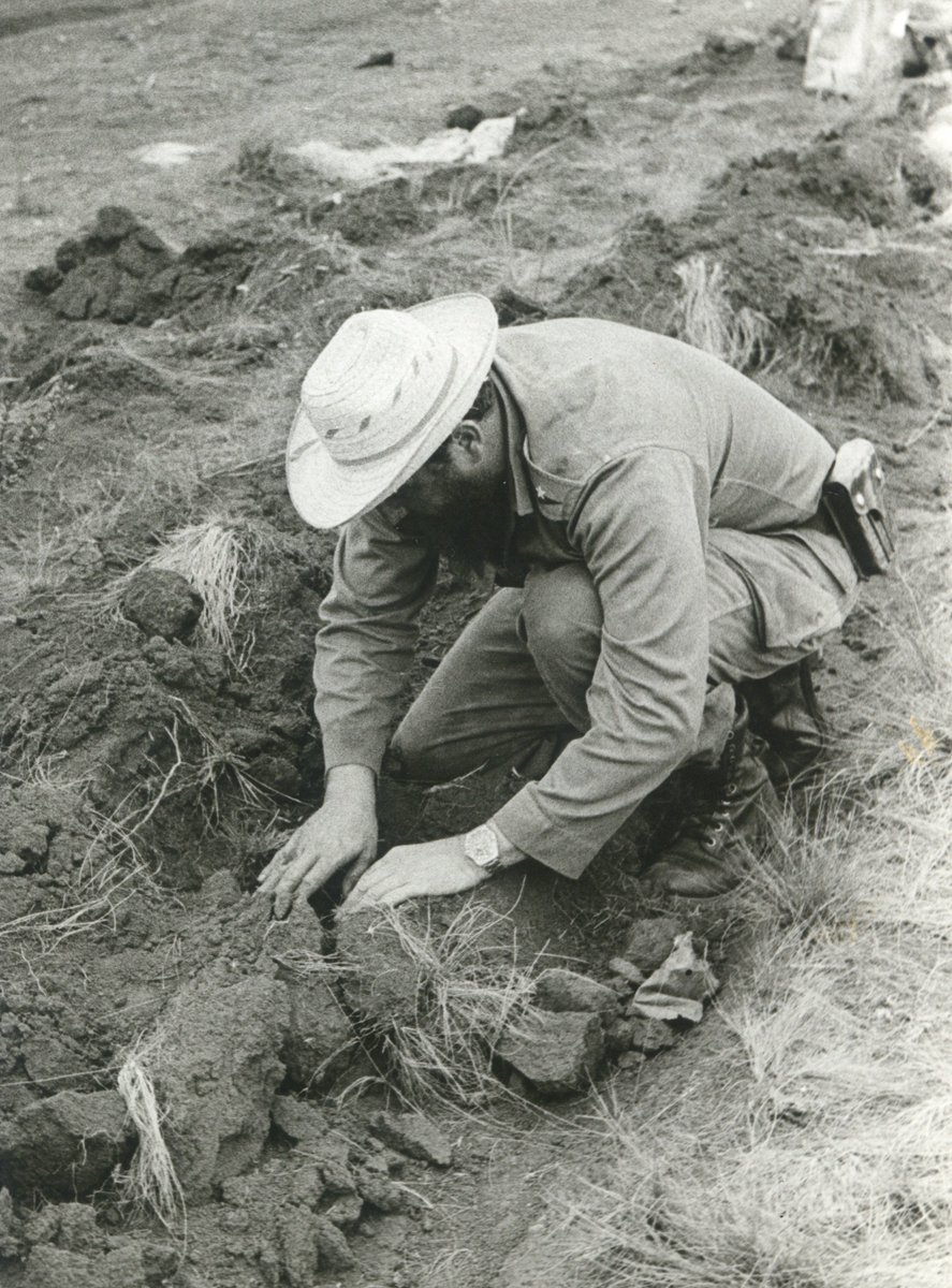 FSoldadodeIdeas's tweet photo. #FidelCastro siembra posturas de pinos en Pinares de Mayarí, Holguín, el 8 de julio de 1965.

https://t.co/tmKApfuF0Q
#100AñosConFidel #Cuba  
#SomosContinuidad #RevoluciónCubana https://t.co/AqTgBIIGUe