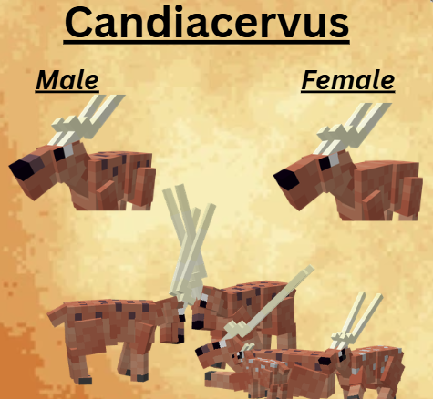 ClassyMonk13447's tweet photo. Candiacervus 

#mc #minecraft #mcmod #mcmods #minecraftmod #minecraftmods #dino #dinos #dinosaur #dinomod #dinomods #dinosaurmod #dinosaurmods #prehistoric #prehistoricmod #prehistoricmods #eorevival https://t.co/arBVHg7ciH