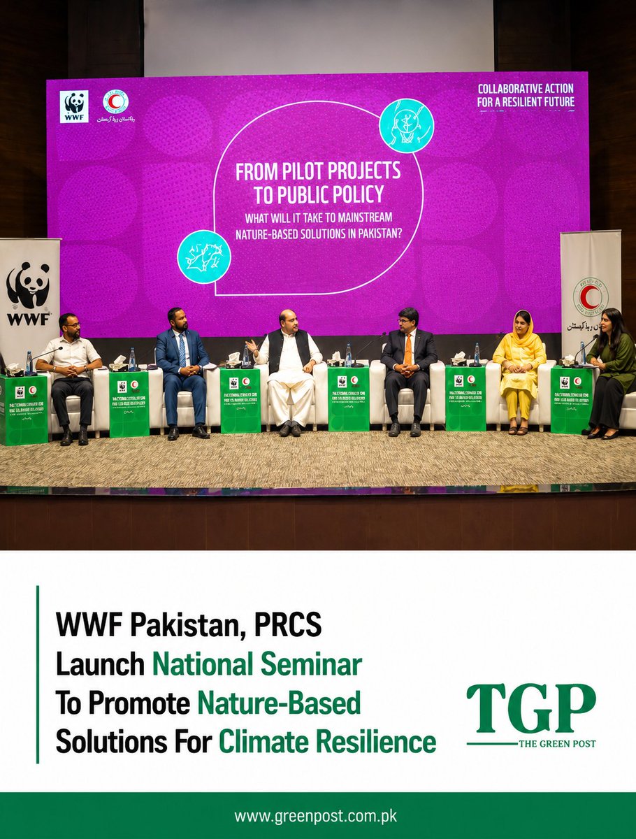 GreenPostpk's tweet photo. @WWF Pakistan and @PalestineRCS have launched a national seminar in Islamabad to promote Nature-based Solutions, strengthen climate resilience and support sustainable disaster risk reduction.

Read more: https://t.co/izF0JQ6b0p

#TheGreenPost #WWF #PRCS #Climate https://t.co/dibyqdwrUK