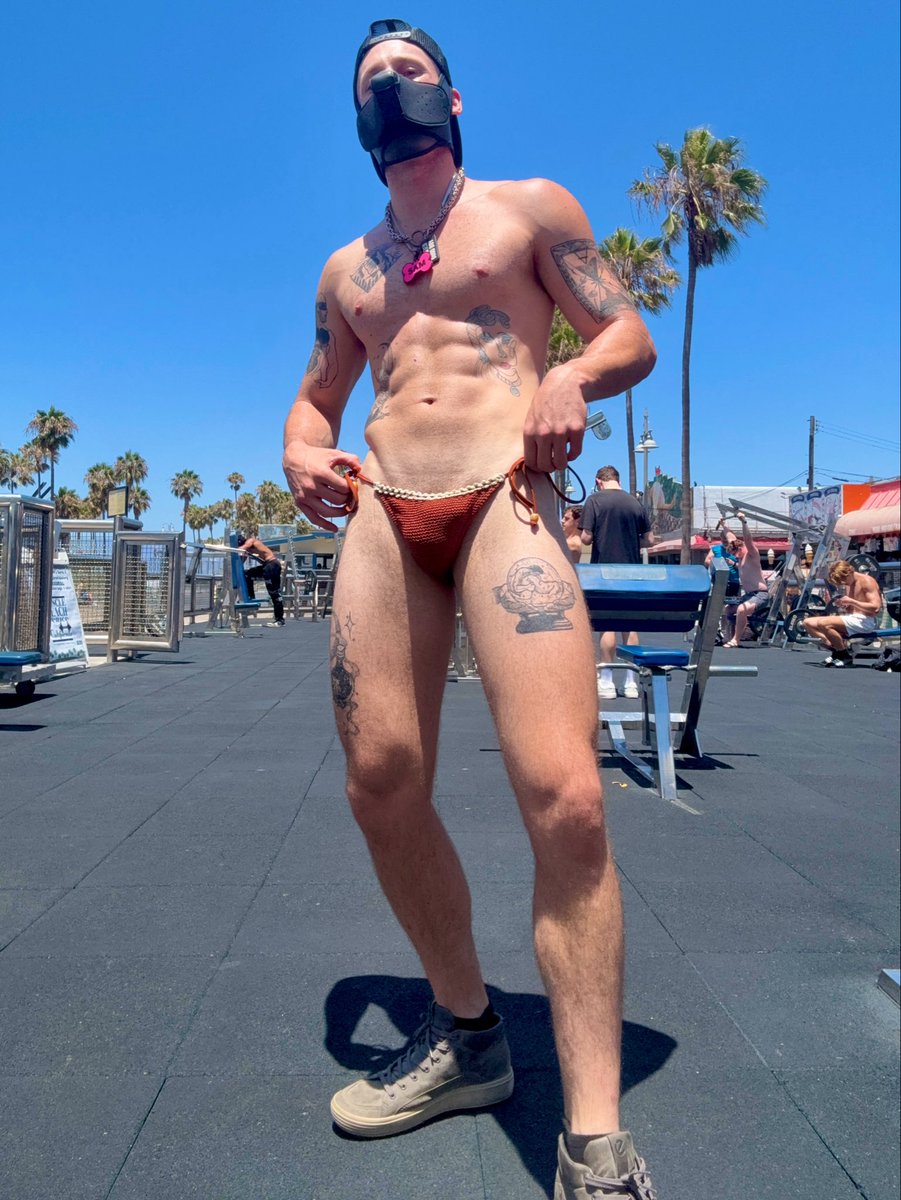 sam__savory's tweet photo. Venice Beach Muscle Gym 💪🐾👙 https://t.co/YgMc2y9aHC