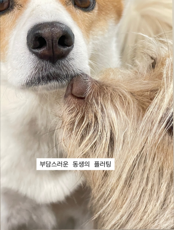 DelfiMoomoo's tweet photo. where is the difference? https://t.co/2XR8ukJwhS