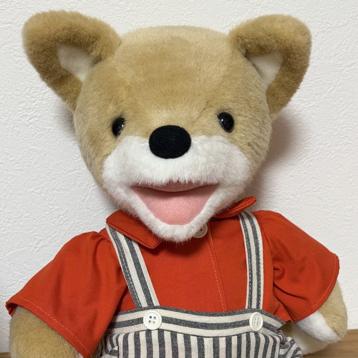 mope2023's tweet photo. おやすみなさい🦊 https://t.co/Y0vEjtX2rH