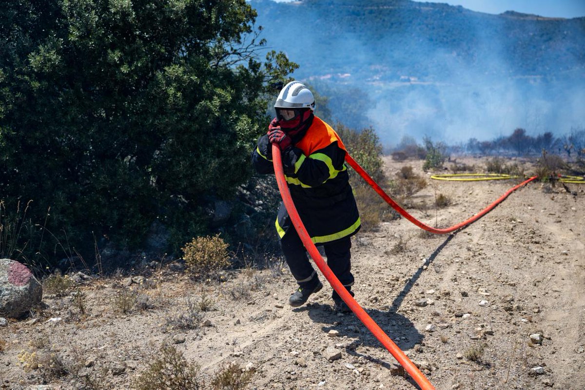 Préfet des Pyrénées-Orientales tweet media
