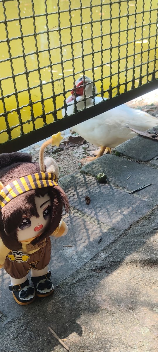 Xianventures's tweet photo. @BTunn3 He also found ducks but I'm afraid of them, so baby took a quick photo and left 🙈 https://t.co/O0UBgWLINc