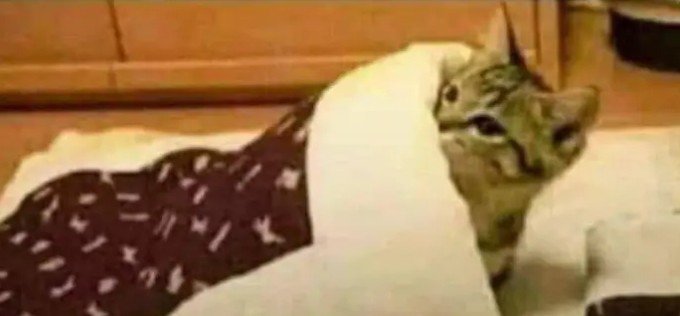 abdykeen's tweet photo. When you busy sleeping and hear ur brother telling his gf "I can even kill my whole family because of you" https://t.co/3QdOCSa3al