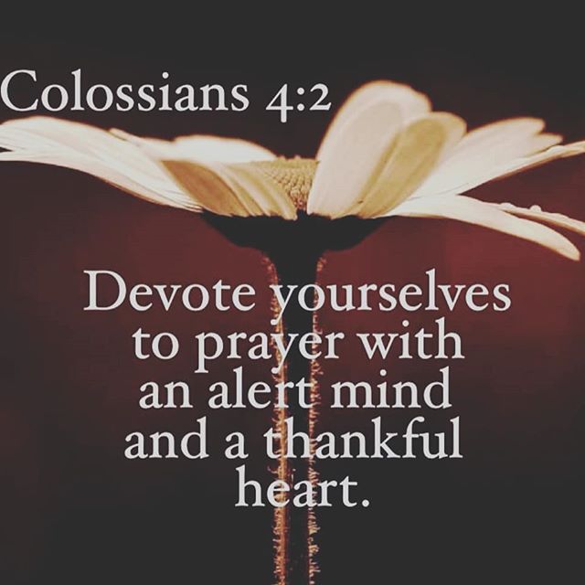 BarbaraRom20315's tweet photo. "Devote yourselves to prayer with an alert mind and a thankful heart"
Colossians 4:2🌹 https://t.co/ayQ4J0Ixfe