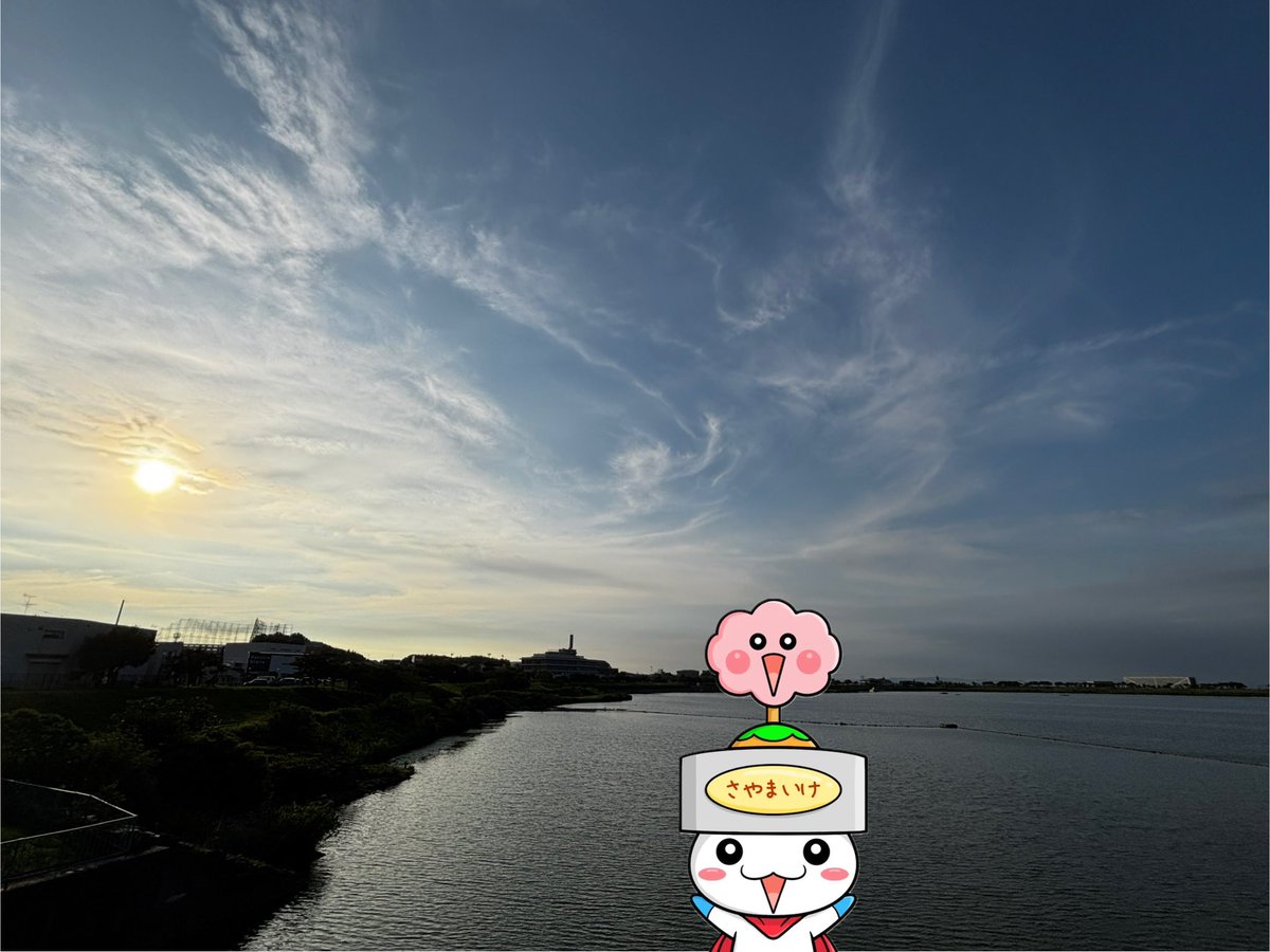 sayapon0000's tweet photo. 7月8日（水）の狭山池は、晴れだポン☆
⁡
ポポ(ﾟωﾟ)
⁡
アオサギが卵を温めてるポンよ〜(*ﾟ▽ﾟ*)
⁡
ずっと見守ってるけど、赤ちゃんはまだなんだポンね(*ﾟ▽ﾟ*)
⁡
赤ちゃん誕生楽しみだポンo(^▽^)o
⁡
ポポ(ﾟωﾟ)
⁡
カタツムリ見っけ♪
⁡
とってもちっちゃいポ〜ン(=^▽^)σ
⁡
※狭山池、梅雨明けしたポン☆
#大阪狭山市 #狭山池 #さやポン