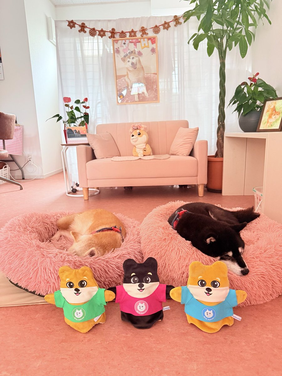 ShibuCoinSolana's tweet photo. @coinmun $SHIBU @withkabosu here! We have a special charity auction going on right now to help animals! Check it out! 

https://t.co/NUrgugvihc https://t.co/jI8ozZmOZc