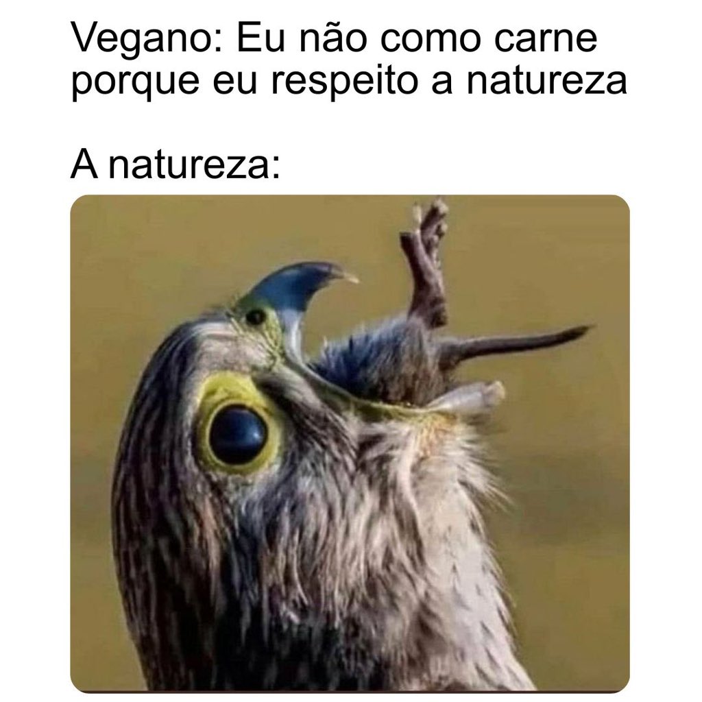 abracetradicao's tweet photo. https://t.co/aFiK5KUUyB