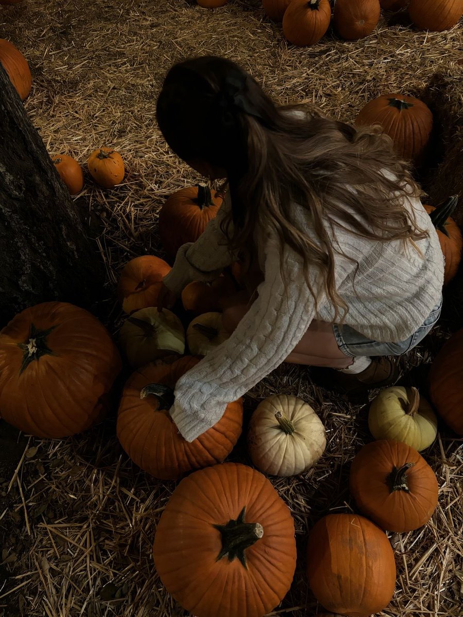 lensgluttony's tweet photo. halloween  themed  foodpoll!  𓆩^._.^𓆪

an interactive 🧵 for #edtwt ! 

♡ / ↻ very appreciated .ᐟ

#edrtwt #shedtwt #anatwt #3dtwt #ricecaketwt #foodspo #foodpoll #interactive https://t.co/GJWyyzjYeY