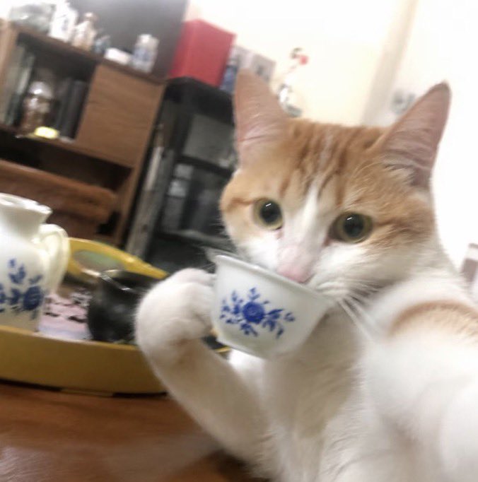 mommybigbos's tweet photo. Japonya heyetinin dump https://t.co/yPLy9czcuH