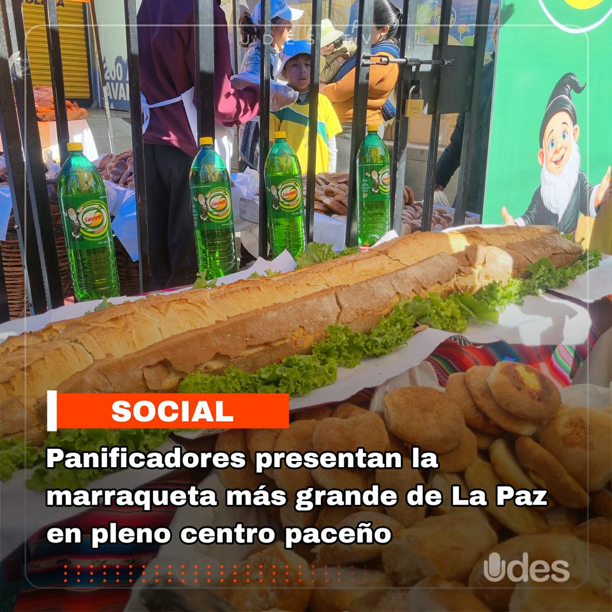 udestvbolivia's tweet photo. En pleno centro de #LaPaz, #panificadores presentaron la #marraqueta más grande de la ciudad como un homenaje a la gesta libertaria. La actividad forma parte de las fiestas julias y busca revalorizar uno de los símbolos gastronómicos más representativos de la sede de Gobierno. https://t.co/Rk8g3TQqRj