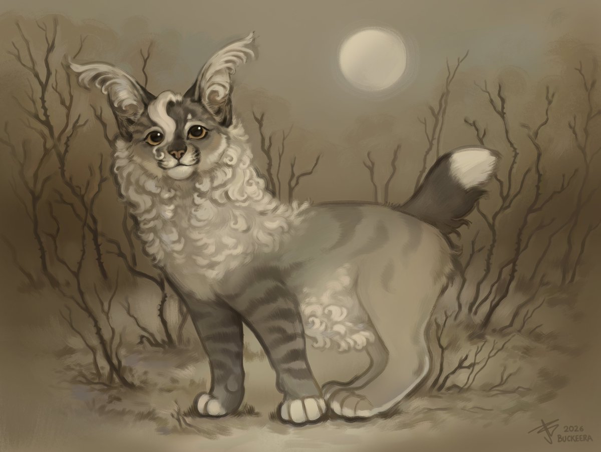 BuckeeraArt's tweet photo. artfight attack on spelladonna 🌕☁️ https://t.co/RnC6AxT4ZV