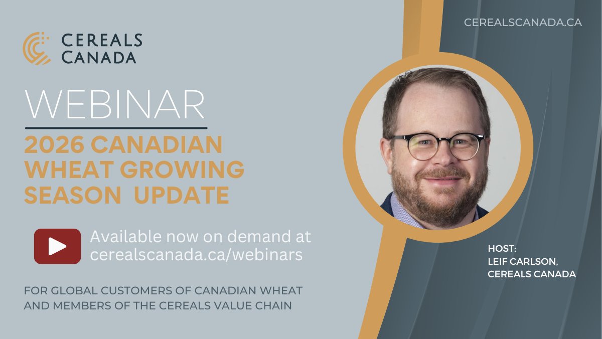 Cereals_Canada's tweet photo. The 2026 Wheat Growing Season Update includes insights into the start of the growing season from guests @lesleyraekelly (CWRS) and @JoshBoersen (CESRW). 🌾Watch now on demand at: https://t.co/aoq4zEdAs6 https://t.co/L9kYbKcnNb