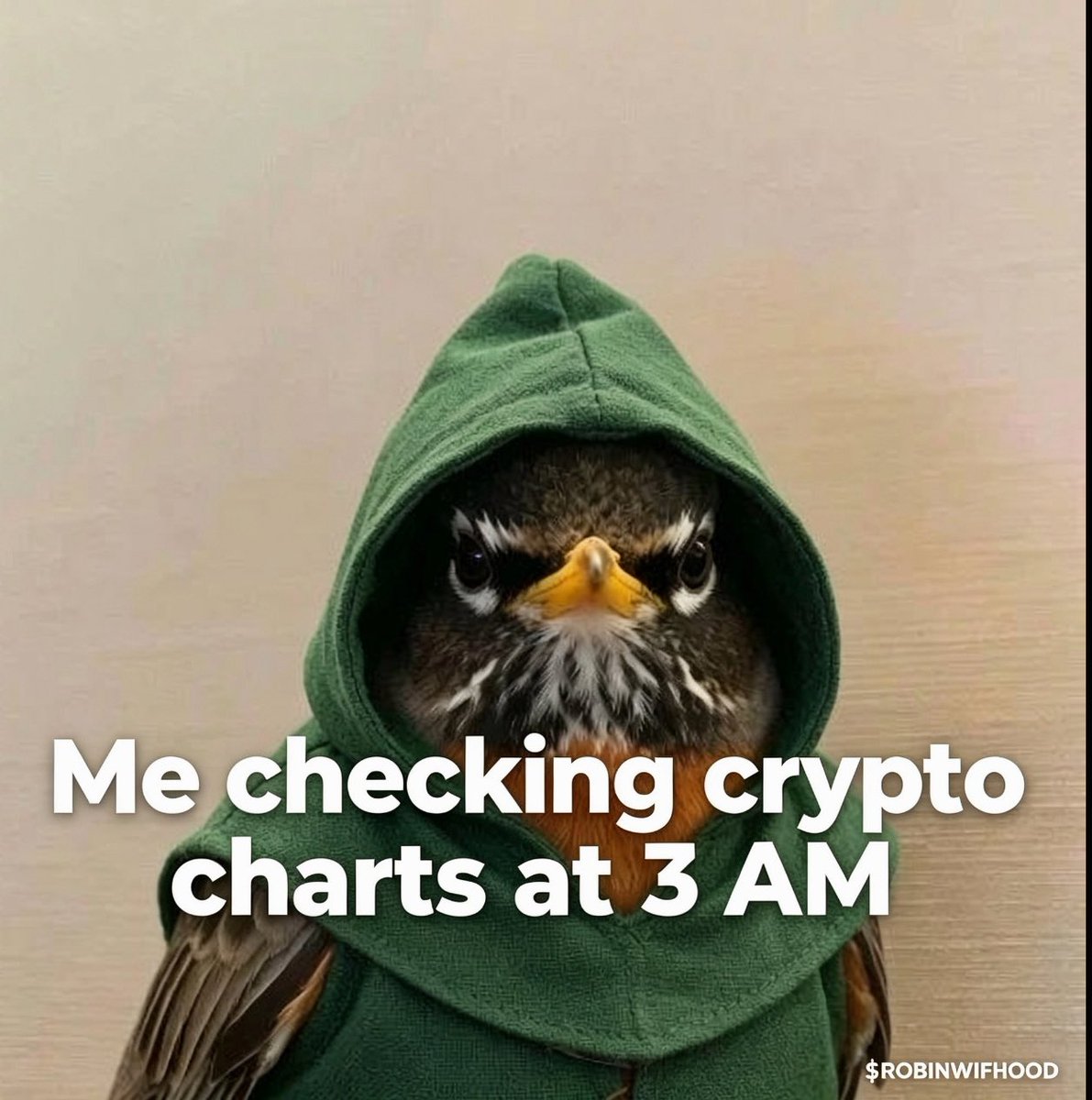 Barn_0x's tweet photo. RobinWifHood. 

The perfect narrative by @Humanevolvd is live a ripping up the Solana space. 

Don’t skip this one! 

solana:G7zeUXZzTUa8iXeUcW5J8oK9zoK4WY75fzmwFMe5pump https://t.co/xvVUAf69U6