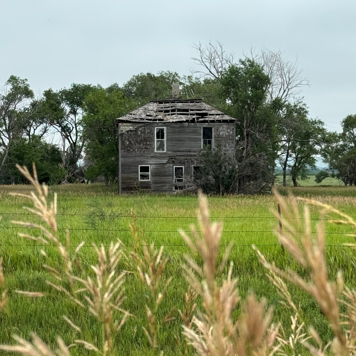 thequeenofrust's tweet photo. Top of the afternoon from South Dakota 🌾 https://t.co/0Dgr2Woujk