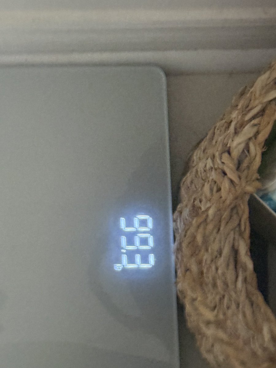 bowg1rl's tweet photo. omg ive been so inactive but istg ive been so fat and binging all week and I just hit 99? 🥹 #edtwt #hopecore https://t.co/ZrZJkL83ar