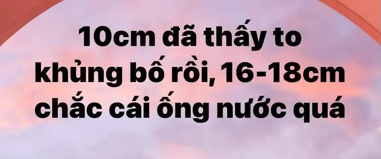 🐷 tweet media