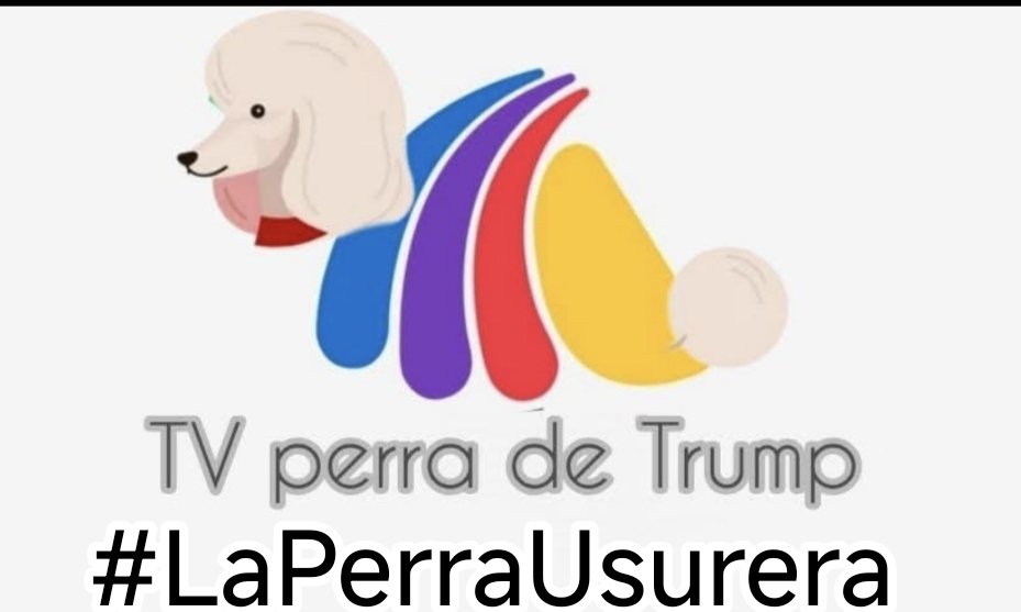 Jacinta_Camila's tweet photo. El güebon del bienestar 
PEDRO SOLA....lo que pretende,es matar a,
 #LaPerritaDeTrum para
Que nos olvidemos de ella!!
Pero #LaPerritaDeTrum 
Nunca morirá!!! https://t.co/xVCrVn5XpT