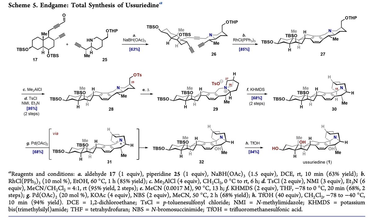 Total Synthesis tweet media