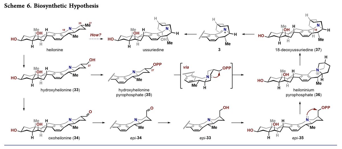 Total Synthesis tweet media