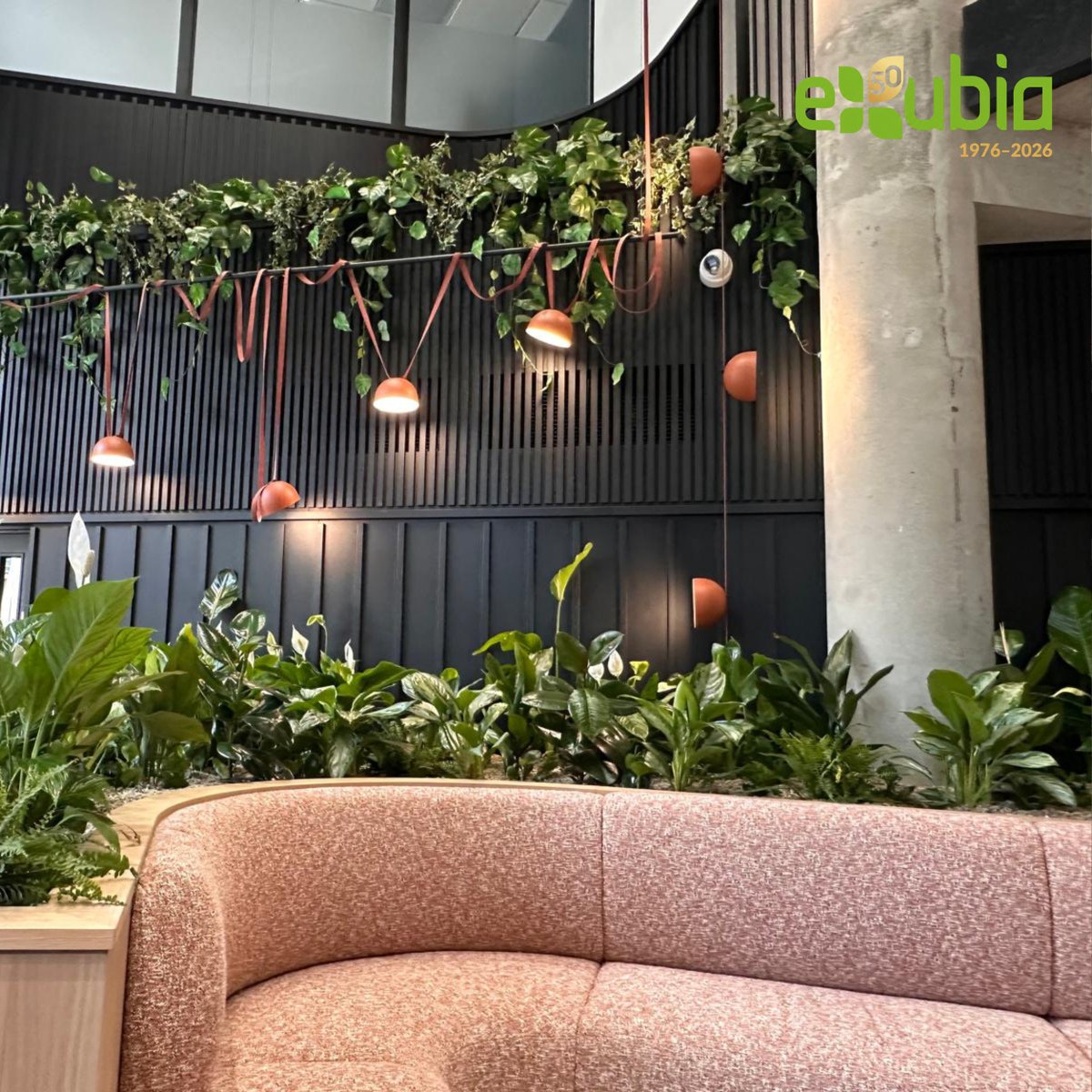exubialtd's tweet photo. Small planting changes can completely transform how a space feels.
A planter, green wall or planted divider can refresh an environment without the cost or disruption of a full refurbishment.
Read our latest blog: https://t.co/iLi8AJgjTS
#BiophilicDesign #WorkplaceDesign https://t.co/7oYVp4ROU1
