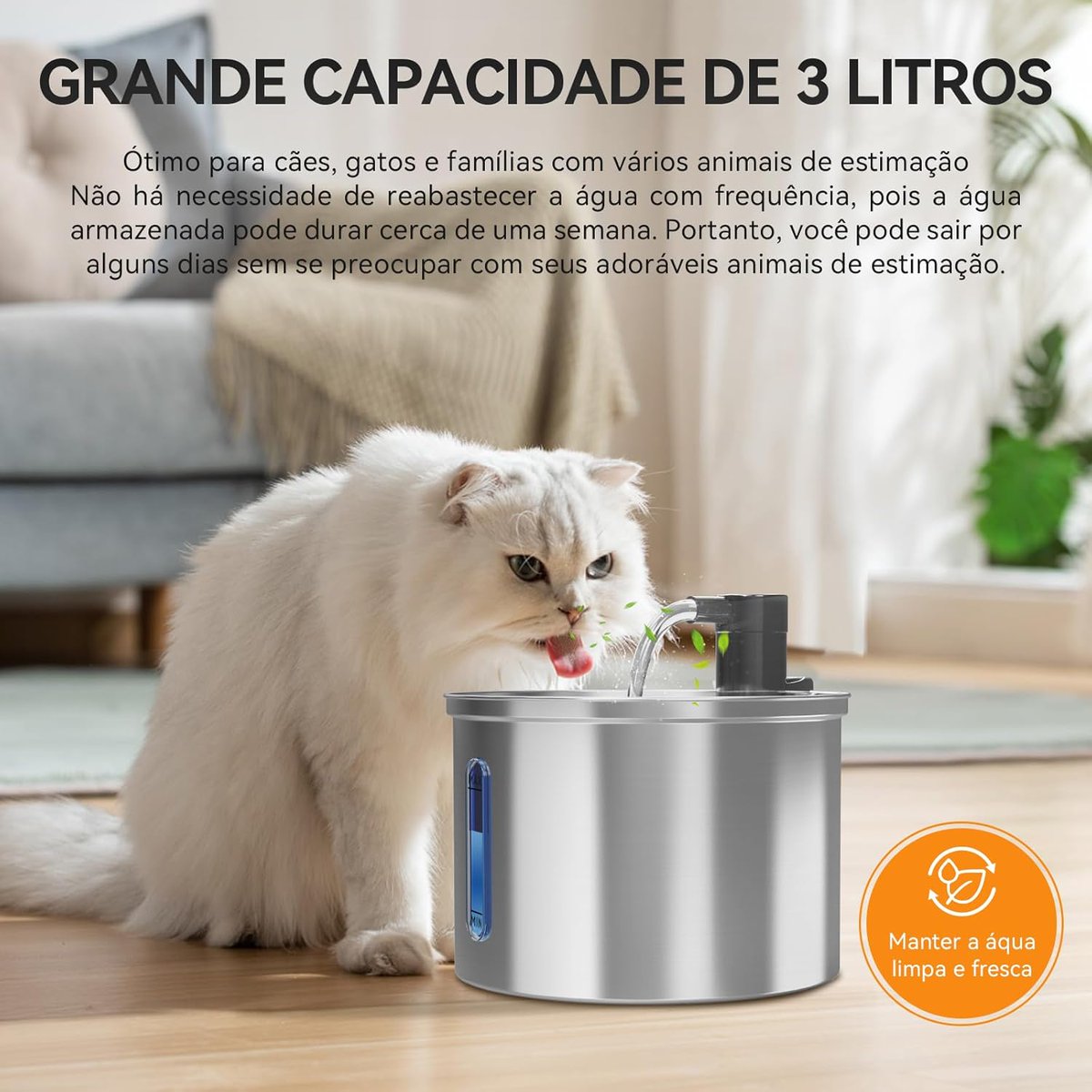 EdySantos____'s tweet photo. Bebedouro para Gatos 3L Inox | Fonte Gato, Comedouros, Bebedouros e Acessorios para Gatos, Silenciosa, Bivolt

💰 R$105,64     -40%
💳 Em até 3x de R$ 35,22 sem juros

🔗 https://t.co/rORYcAi2zO

⚠️ Preço e estoque sujeitos a alteração. https://t.co/SUQimOpsvh