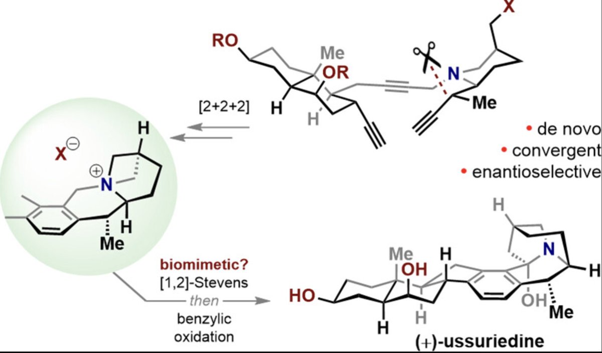 Total Synthesis tweet media