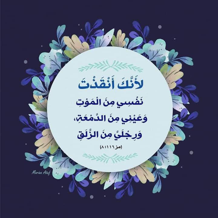 Hanansabry567's tweet photo. https://t.co/ZyabCS0Cv7