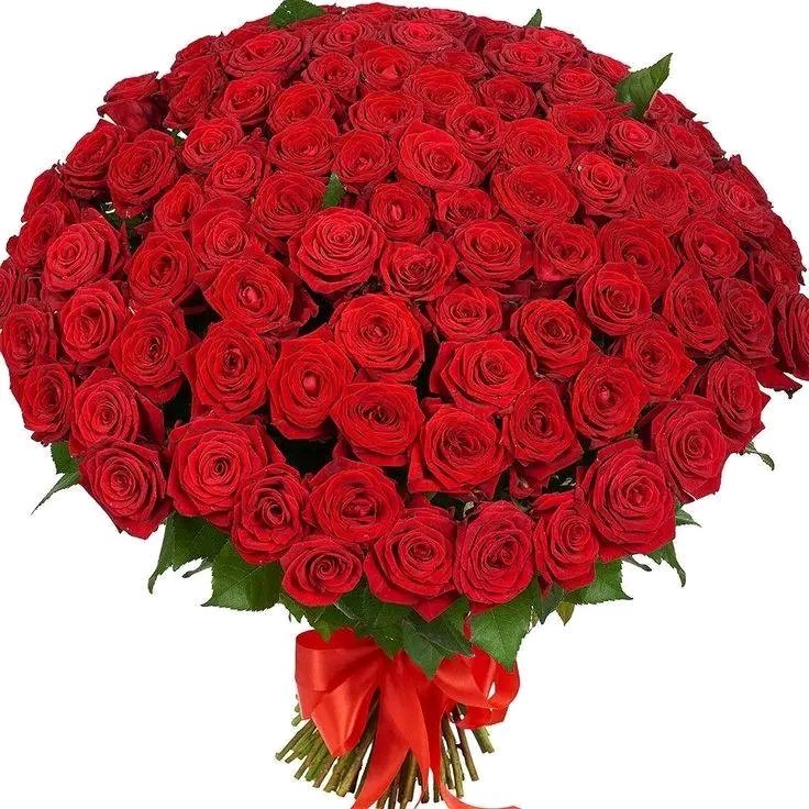 rljry457265's tweet photo. مساء الورد https://t.co/NhhdYs7dmu