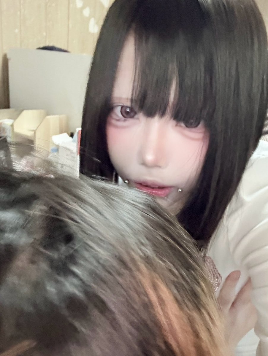 usqzc's tweet photo. https://t.co/ayAN3M7K9E
