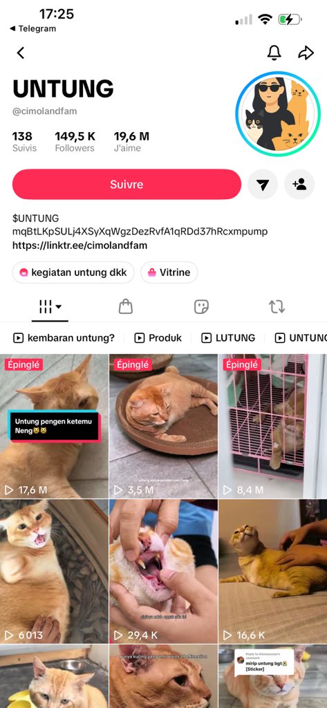 WojakWal's tweet photo. @artsch00lreject Ok you like cat coins , this cat has 3 legs the owner went live on @Pumpfun with her cat and she has fees for Have a prosthesis implanted for him. Can we do something ?

mqBtLKpSULj4XSyXqWgzDezRvfA1qRDd37hRcxmpump https://t.co/4qzsdkS0Kq