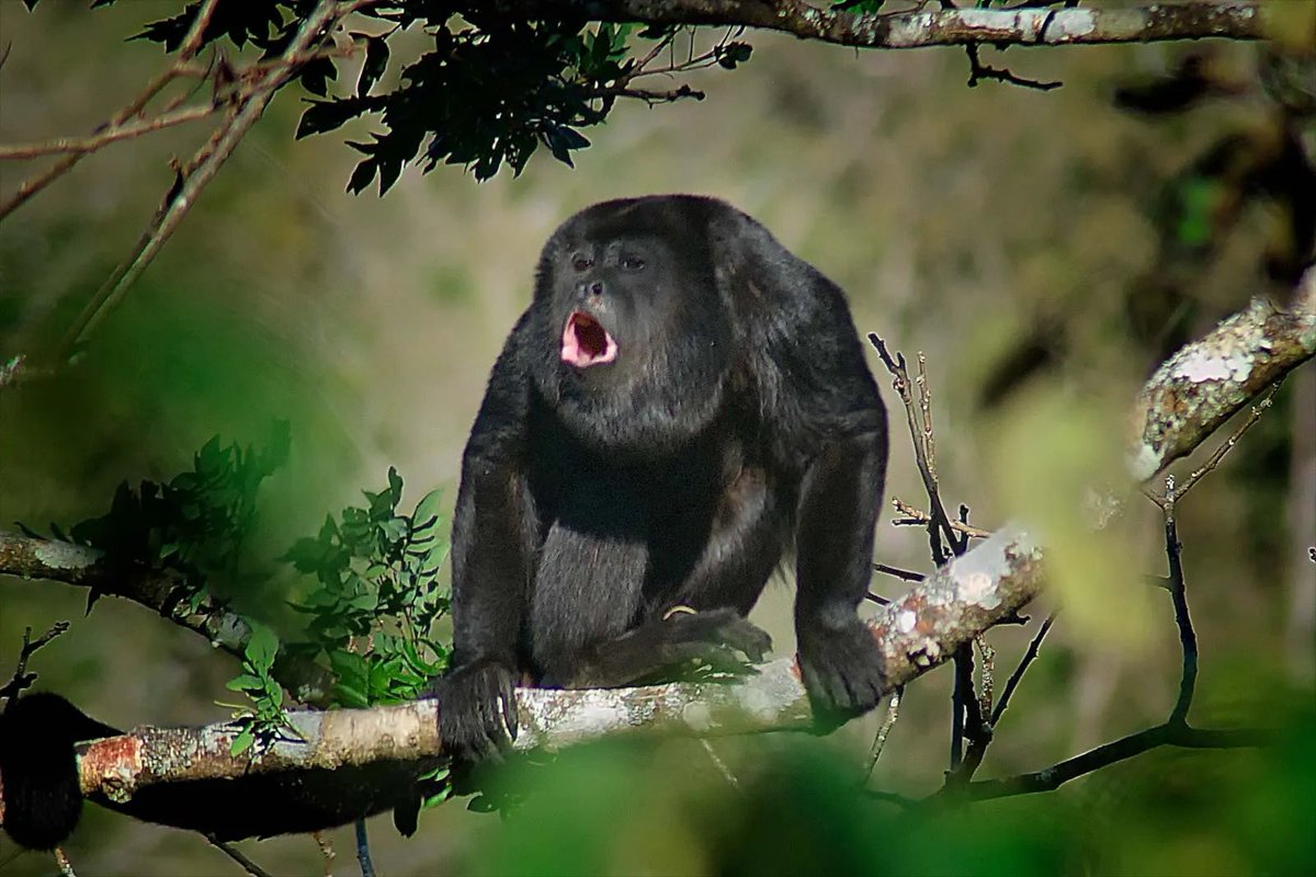 Teh_Elephant's tweet photo. @TwitchyTeam LMAO that photo. https://t.co/UprQQcQlrV