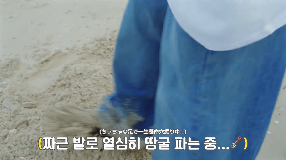 woozenniee's tweet photo. “working hard digging a pit with his smol feet”

team wish really knows everything https://t.co/8opPiZ9xS6