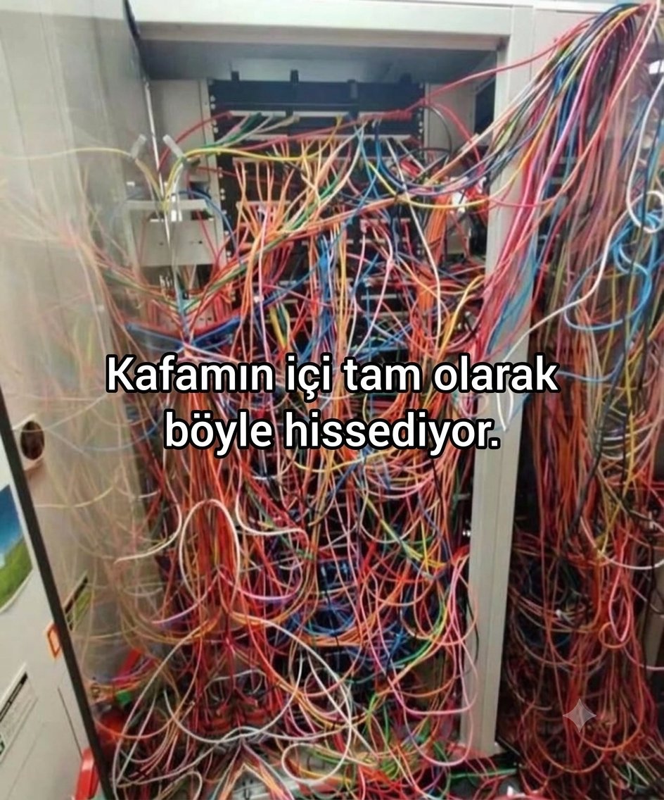 ohisileyasamak's tweet photo. 8 temmuz https://t.co/jF9Hq9Dc5Z